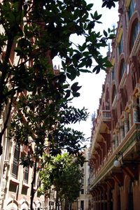 Low angle view of building with trees in background