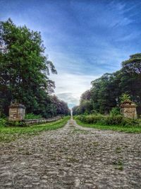 Road amidst trees against sky