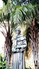 Low angle view of palm trees