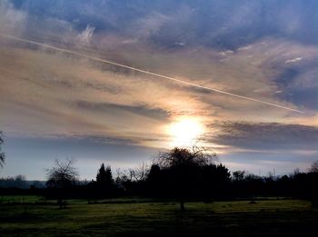 Silhouette trees on field against sky during sunset