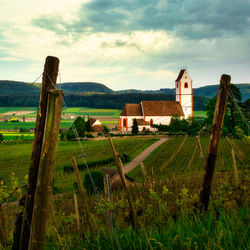 Scenic view of agricultural field against sky