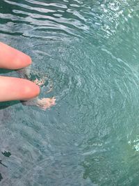 High angle view of woman hand in water