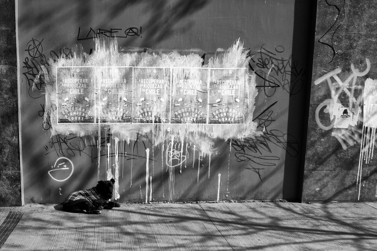 black, black and white, white, monochrome, monochrome photography, graffiti, no people, architecture, built structure, day, wall - building feature, building exterior, nature, art, sunlight, outdoors, creativity