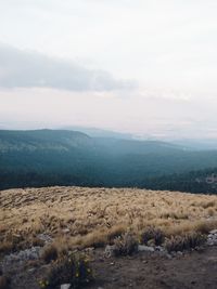 Scenic view of landscape against sky