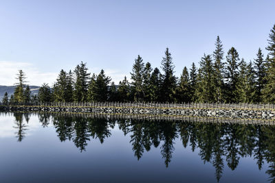 Reflection of trees in lake against sky