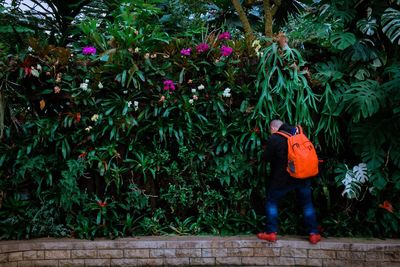 Rear view of man standing by flowering plants