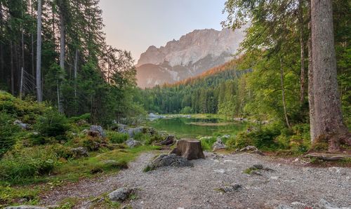 Stream flowing through rocks in forest against sky