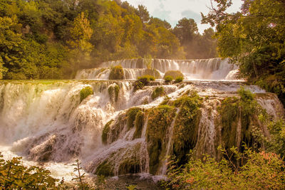 Scenic view of waterfall in forest