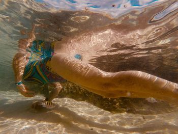 Close-up of turtle in sea