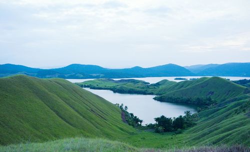 Grass spread between lakes