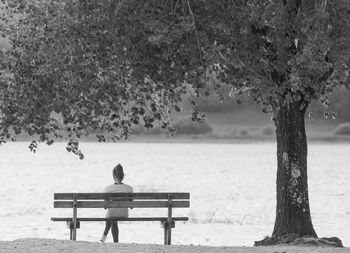 Young woman sitting on a bench under a tree in front of a lake in the evening in autumn