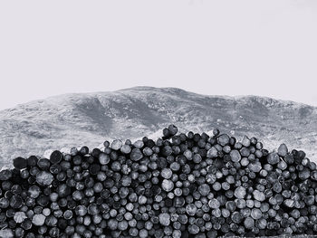 Stack of logs against mountain