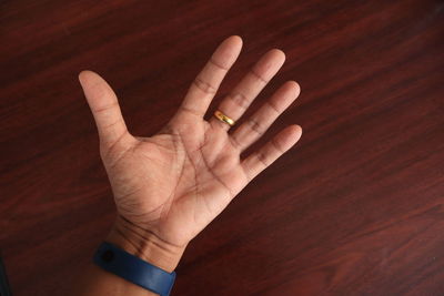 Close-up of person hand holding wood