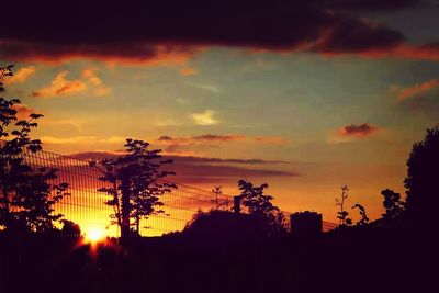 Silhouette of trees at sunset