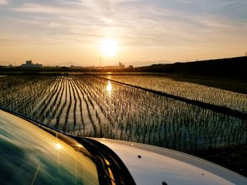 Scenic view of agricultural field against sky during sunset