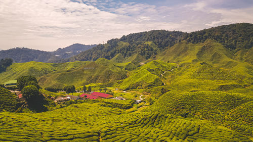 Scenic view of field against mountains