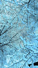 Full frame shot of snow covered branches against blue sky