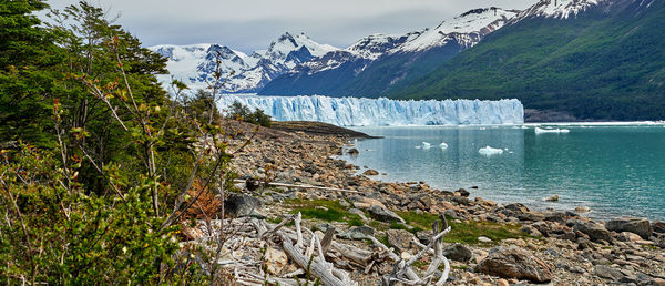 Blue ice of perito moreno glacier in glaciers national park with turquoise water of lago argentino