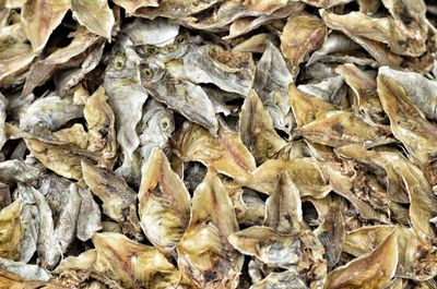 Full frame shot of dry leaves