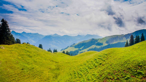 Scenic view of landscape against sky