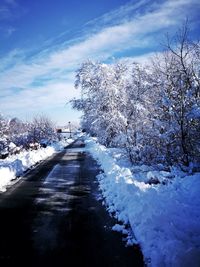 Snow covered plants against sky