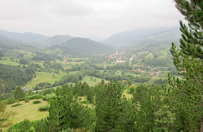 Misty hollow between the mountains. summer morning. landscape.