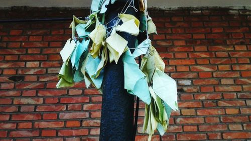 Close-up of plant against brick wall