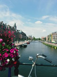 Summer in amsterdam 