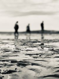 Surface level of silhouette people on beach against sky