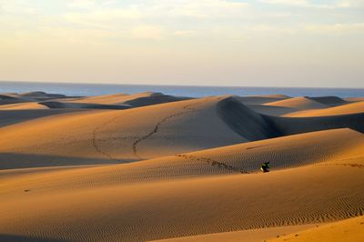 Scenic view of desert against sky