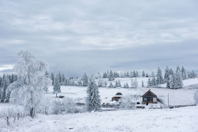 Houses on snow covered land against sky