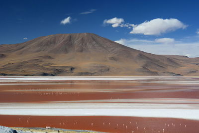 Scenic view of desert against sky