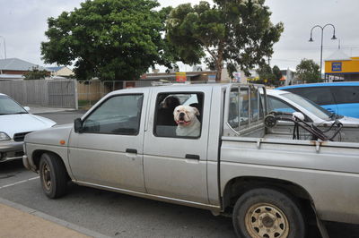 View of car on road in city