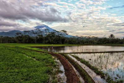 Scenic view of lake by mountains against sky