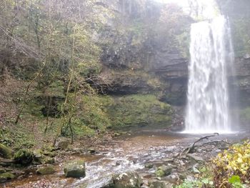 View of waterfall in forest