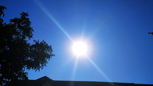 Low angle view of trees against blue sky