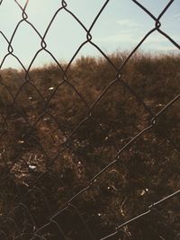 Chainlink fence