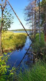 Scenic view of lake