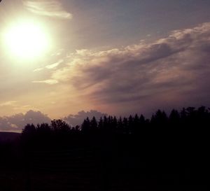 Silhouette of trees at sunset