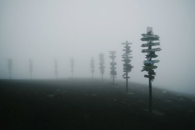 Trees on field against sky