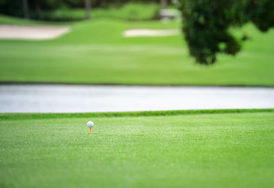 Ball on golf course