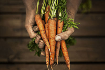 Close-up of hand holding vegetables