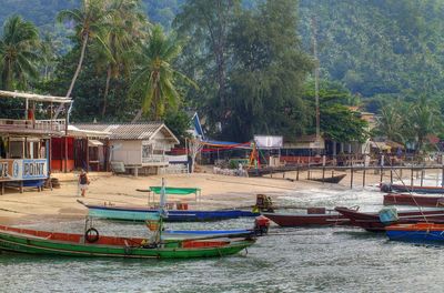 Boats moored by palm trees against sky