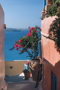 Santorini, greece. street detail and view in oia city in thira, greek islands in aegean sea