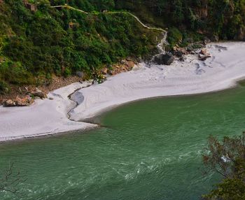 High angle view of sea by trees in forest