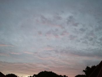 Low angle view of trees against sky