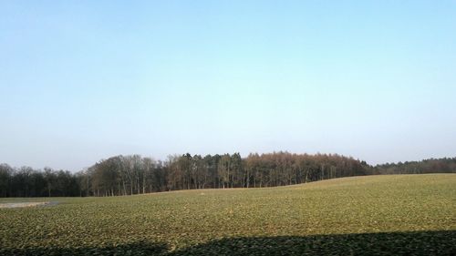 Scenic view of field against clear sky