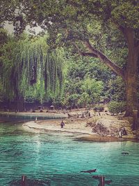 Scenic view of lake against trees