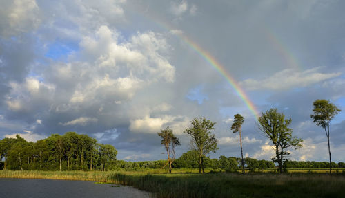 Scenic view of rainbow over field against sky