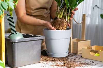 Midsection of woman holding potted plant